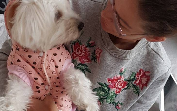 Zbiórka Pomoc z powodu pandemii - zdjęcie główne