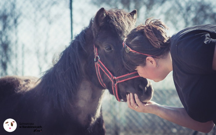 Zbiórka Dzień funkcjonowania Korabek 8 - zdjęcie główne