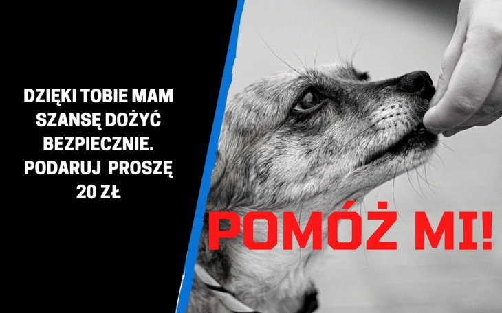 Zbiórka Nie daj mi odejść w zapomnienie - zdjęcie główne