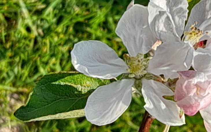 Zbiórka Na naukę dla Ali - zdjęcie główne
