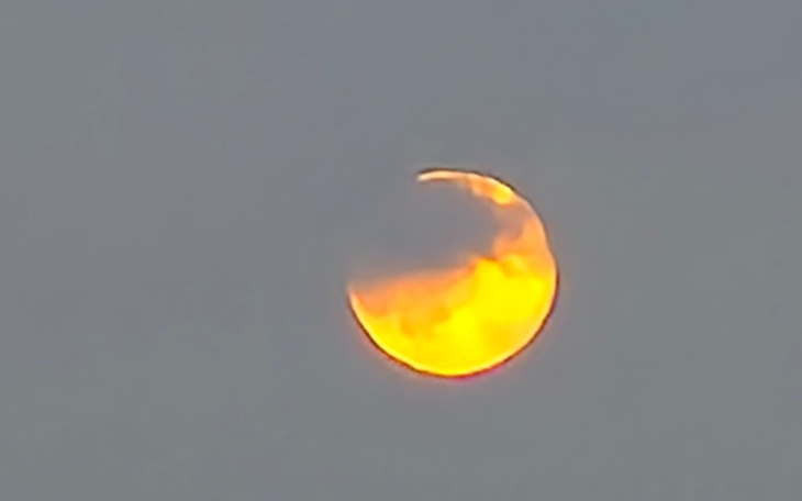 Zbiórka Na Wigilię dla rodzicow - zdjęcie główne