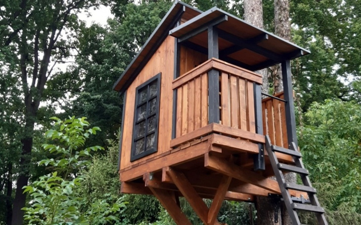 Zbiórka Zbieram na domek na drzewie. - zdjęcie główne