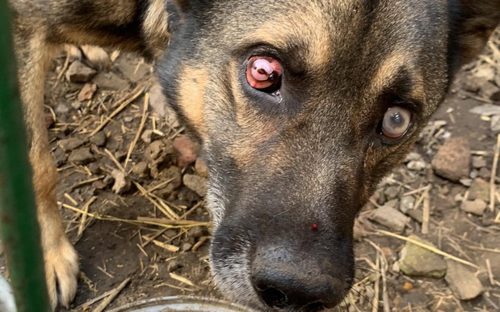 Zbiórka Żeby szybko pomóc. - zdjęcie główne