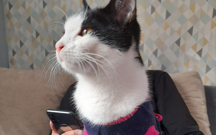 Zbiórka Kastracja Ariela i Gerdy - zdjęcie główne