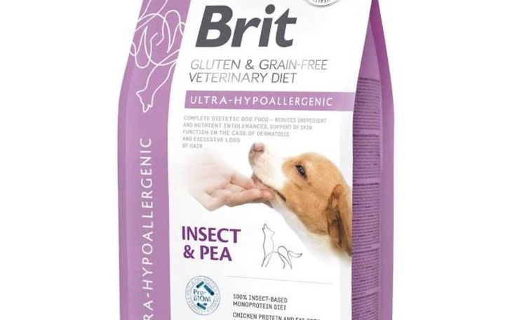 Zbiórka Specjalistyczna karma Migotki - zdjęcie główne