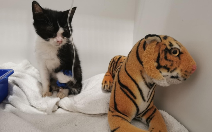 Zbiórka Mały Krzyś walczy o życie - zdjęcie główne