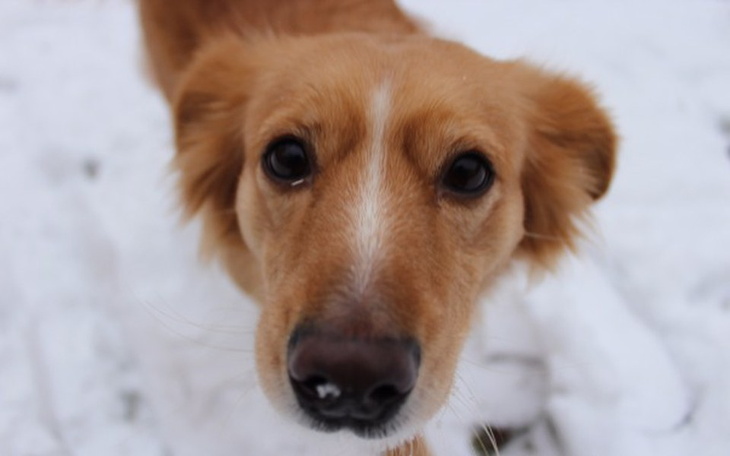 Zbiórka Marzenie o mieszkaniu - zdjęcie główne
