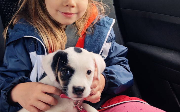 Zbiórka Ratujemy życie naszego pieska - zdjęcie główne