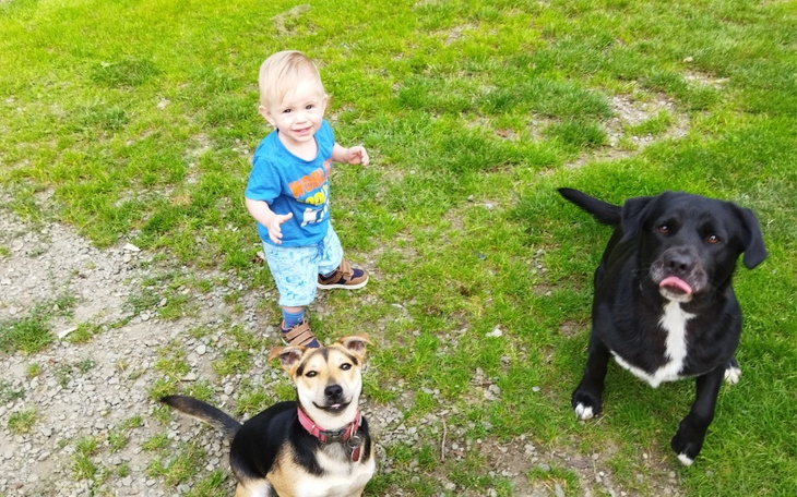 Zbiórka Przyszły dom rodziny - zdjęcie główne