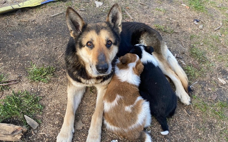 Zbiórka Mamusia Teo i Leo - zdjęcie główne