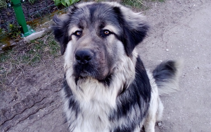 Zbiórka Zbiórka na wyjście z kłopotów fi - zdjęcie główne