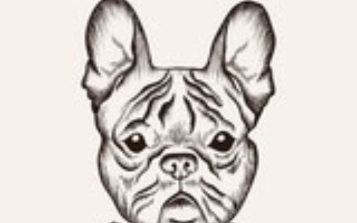 Zbiórka Na buldoga - zdjęcie główne