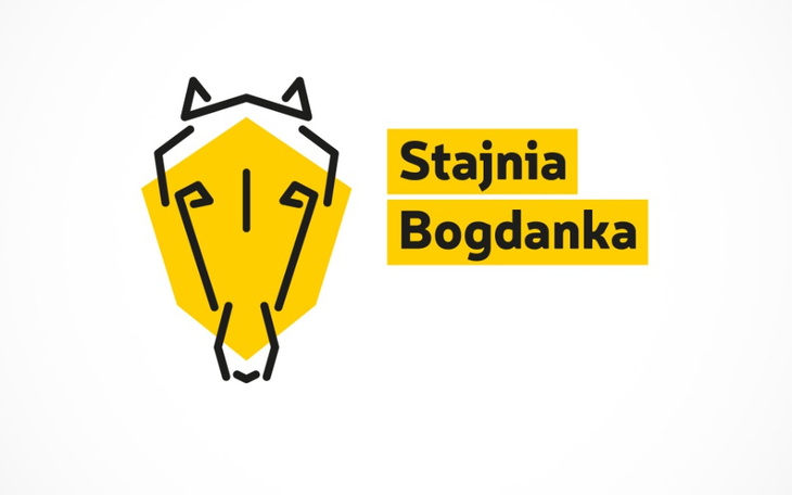 Zbiórka Suplementy dla koni - zdjęcie główne
