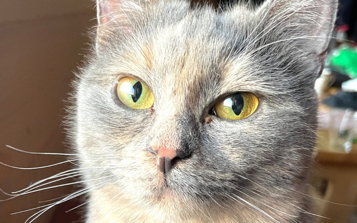 Zbiórka Mietka prosi o pomoc. - zdjęcie główne