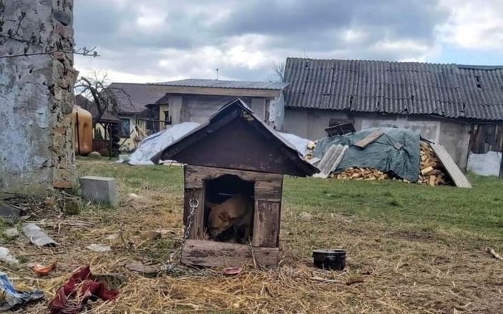 Zbiórka Transport dla mamy z maluchami - zdjęcie główne