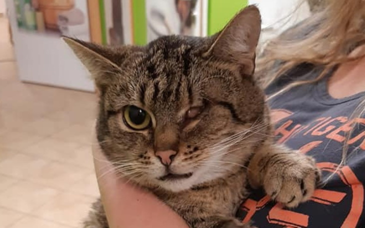 Zbiórka Luiza nie chce umierać - zdjęcie główne