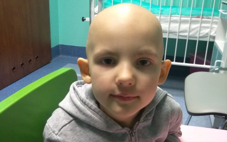 Zbiórka Nina Hadrych - zdjęcie główne