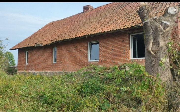 Stary dom z cegły, z widocznymi oknami i zarośniętym otoczeniem.