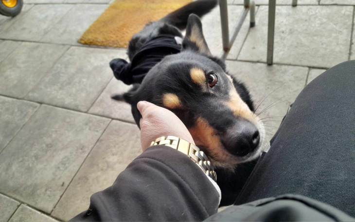 Zbiórka Na pomoc Garetowi - zdjęcie główne