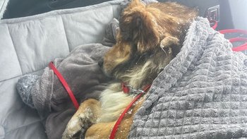 Zbiórka Nowe życie - miniaturka zdjęcia