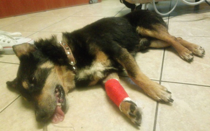 Zbiórka One miały umrzeć, umieramy i my - zdjęcie główne