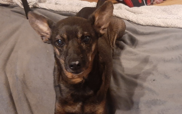 Zbiórka Opaska żołądkowa i leczenie Lunk - zdjęcie główne