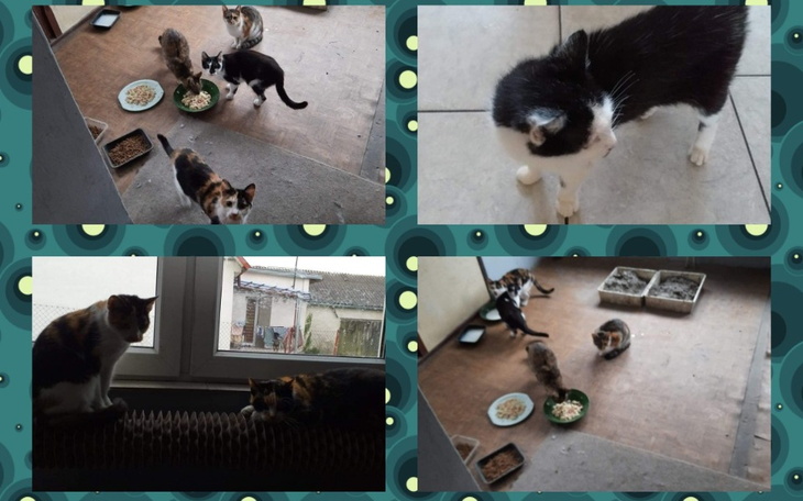 Zbiórka Podrzutki w potrzebie. - zdjęcie główne