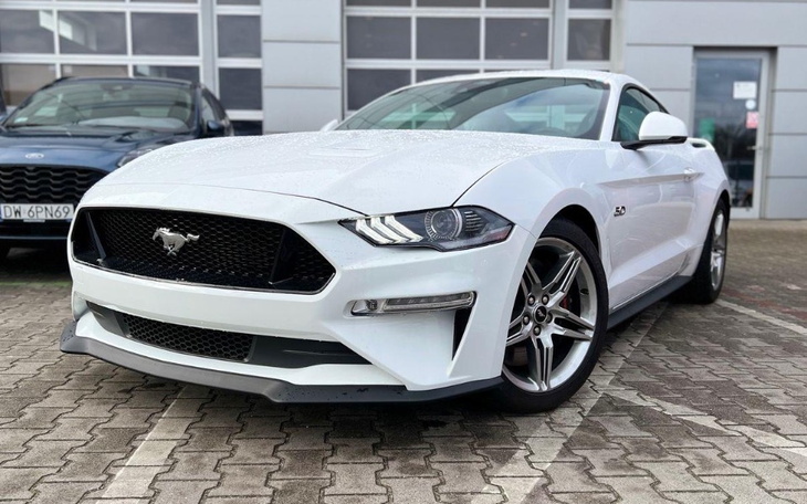 Zbiórka Ford Mustang. - zdjęcie główne