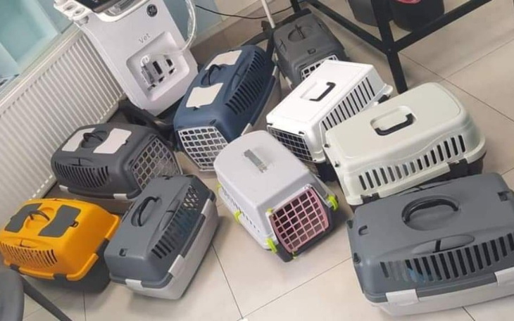 Zbiórka Ośmiornice w lecznicach - zdjęcie główne