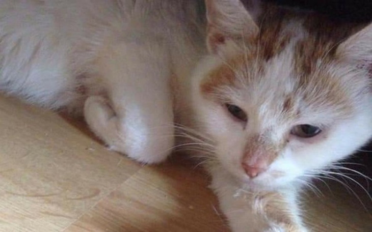 Zbiórka Badanie TK na wczoraj.Pomóżcie - zdjęcie główne