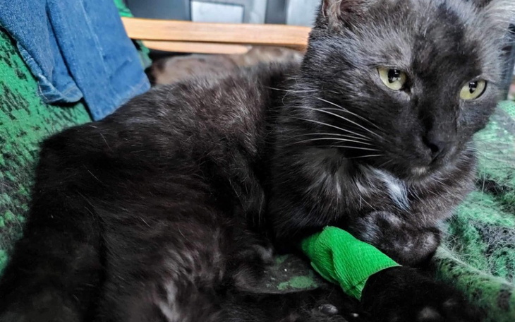 Zbiórka Kochany Lucjanku, przepraszam... - zdjęcie główne