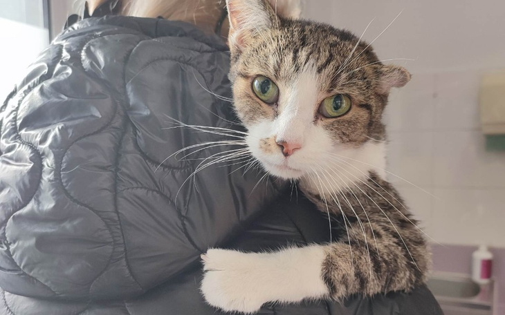 Zbiórka Runda druga - Rysio vs Śmierć - zdjęcie główne