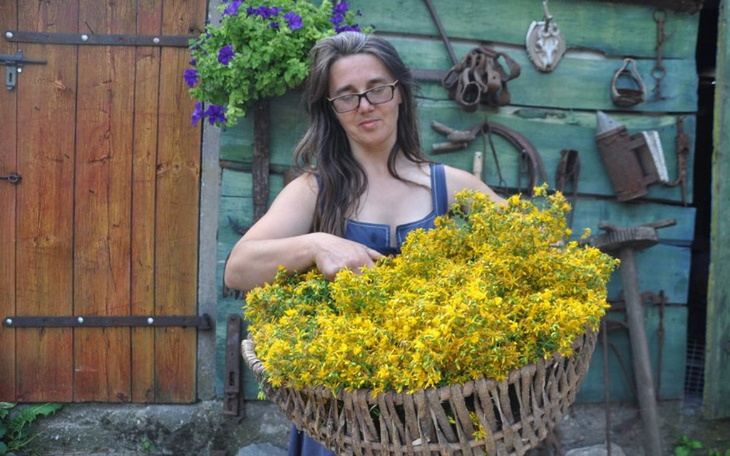 Zbiórka Cudotwórnia BiebrzańskiejWiedźmy - zdjęcie główne