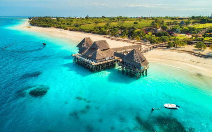 Zbiórka Wymarzone urodziny. - zdjęcie główne