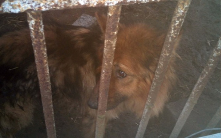 Zbiórka Umierał z głodu - zdjęcie główne