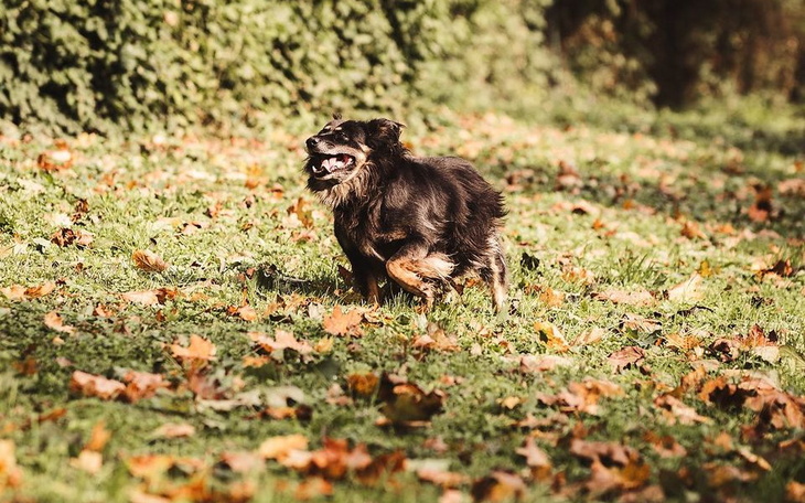 Zbiórka Ostatnia szansa dla Marcela - zdjęcie główne