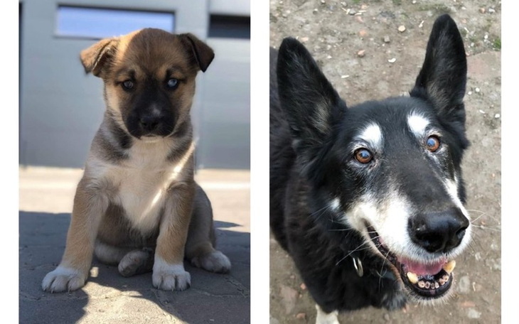 Zbiórka Leczenie podopiecznych FZM - zdjęcie główne