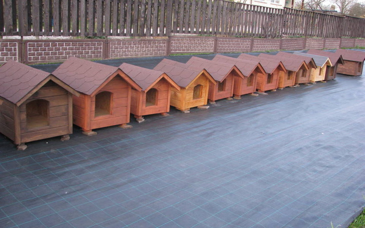 Zbiórka Nowy dom dla piesków - zdjęcie główne