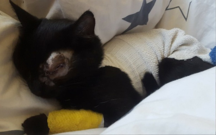 Zbiórka LUNA - przezwyciężyć pecha - zdjęcie główne