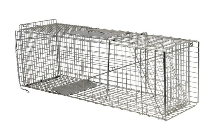 Zbiórka Zakup klatki łapki - zdjęcie główne