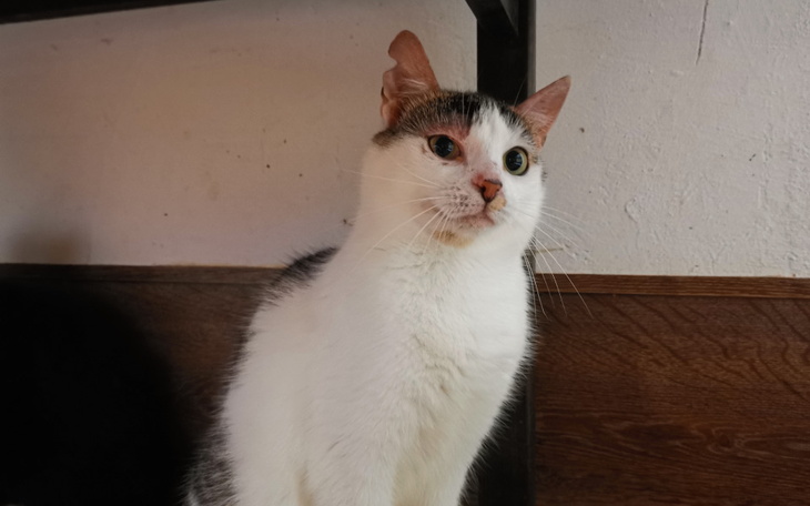 Zbiórka Energia 29.05 - 28.07 2024 - zdjęcie główne