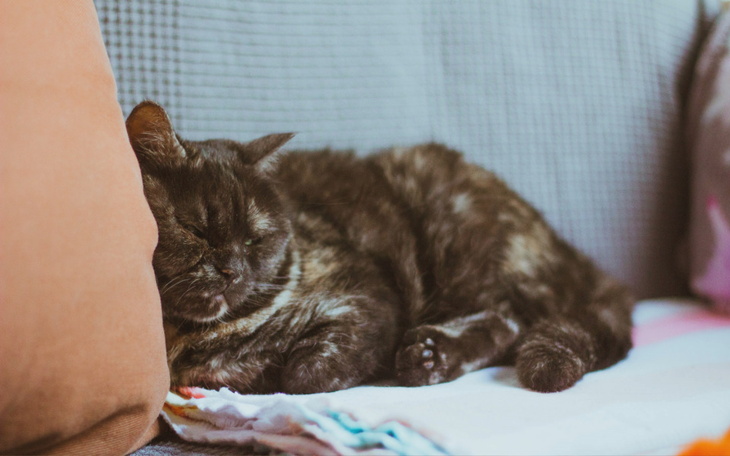 Zbiórka Sanacja Leninki - zdjęcie główne