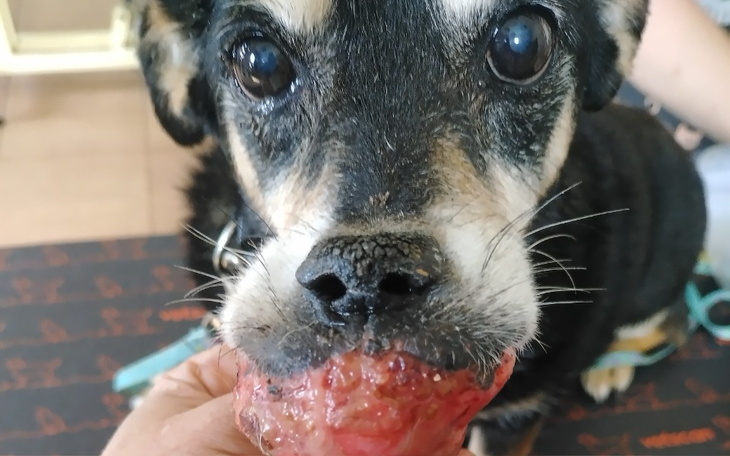 Zbiórka Gehenna - zdjęcie główne