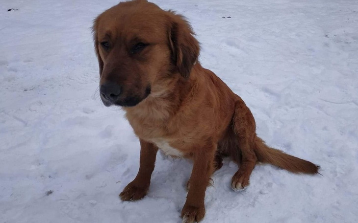 Zbiórka Pomóż zmieniać Ich życie... - zdjęcie główne