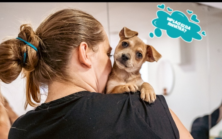 Zbiórka Urodzinowe faktury. . - zdjęcie główne