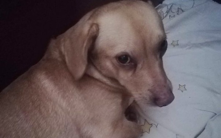 Zbiórka Potrącony z połamaną miednicą - zdjęcie główne