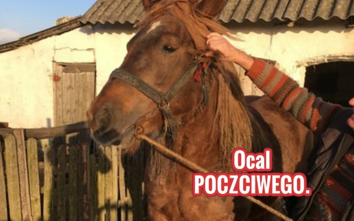 Zbiórka Ocal Poczciwego! - zdjęcie główne