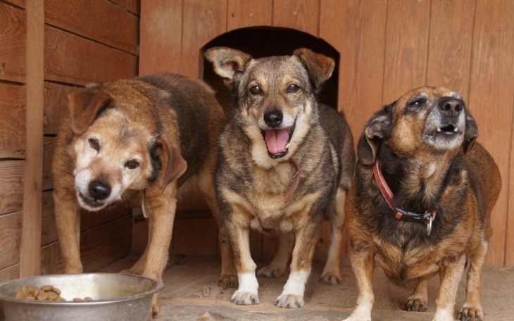 Zbiórka Mikołajowa paka dla Młodoliniaka - zdjęcie główne