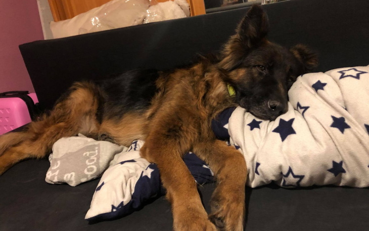 Zbiórka Porzucony Bary z Radys - zdjęcie główne