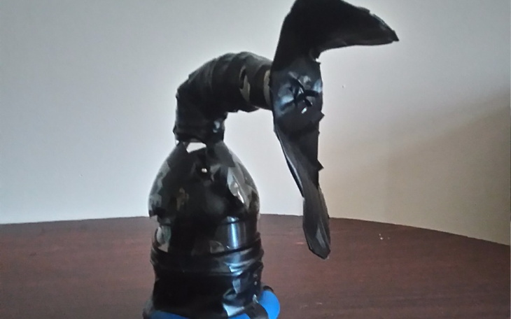 Zbiórka Pasia twurcza - zdjęcie główne